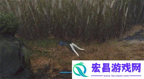 天下无贼奇遇攻略一览