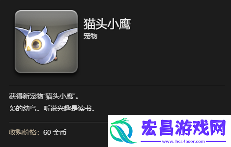 猫头小鹰宠物获取攻略