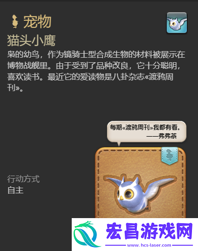 猫头小鹰宠物获取攻略