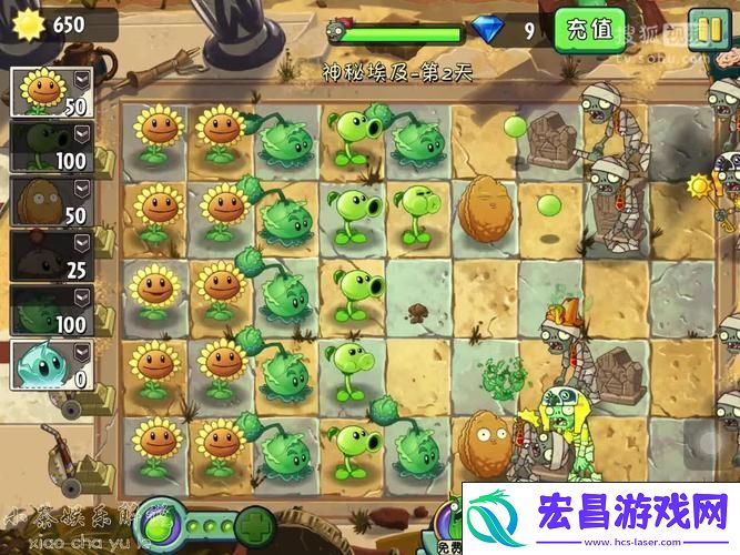 深度探索与神秘任务全攻略