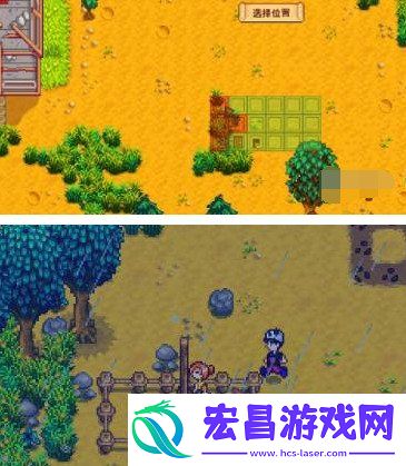 养鸡攻略