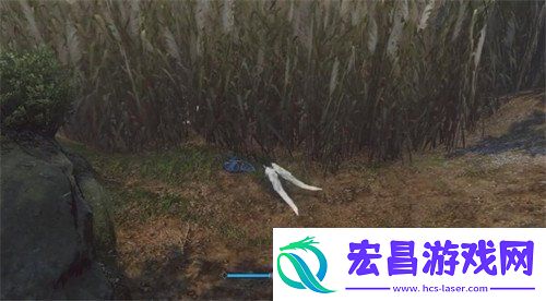 逆水寒手游天下无贼奇遇怎么完成