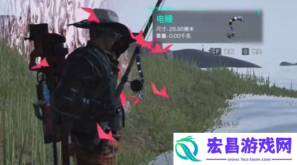 5级电鳗获取方式