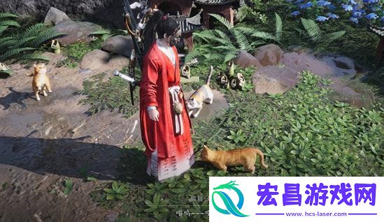 喵喵庙作用介绍一览