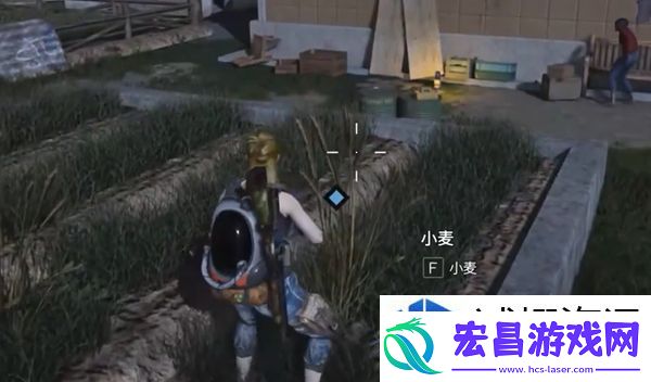 七日世界收获季节怎么做