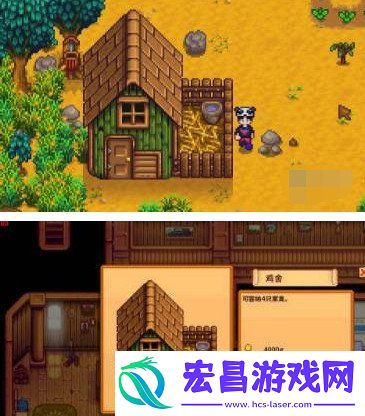 养鸡攻略