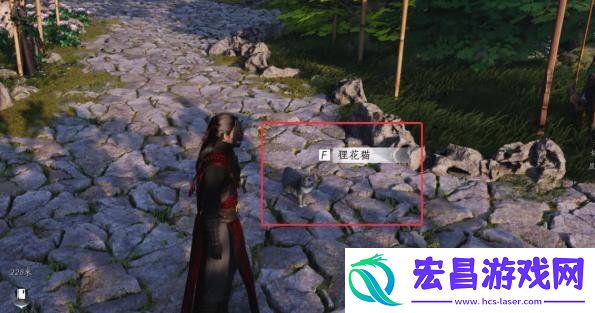 九重春色偷师攻略