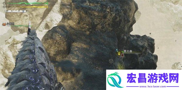 怪物猎人荒野雷光虫在哪里采集