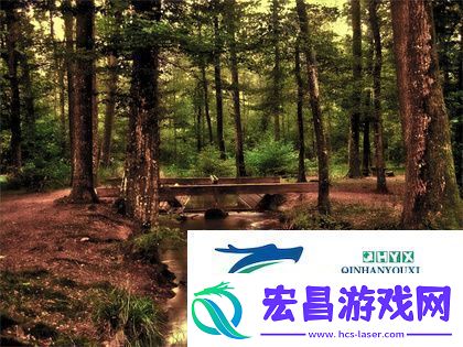 降央卓玛B多大