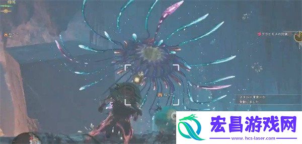 大望花水母具体位置一览