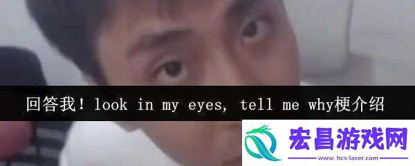 回答我!look
