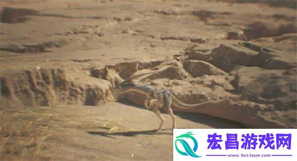 黑风切龙具体位置