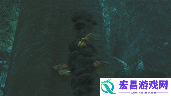 金色独角仙捕捉方法