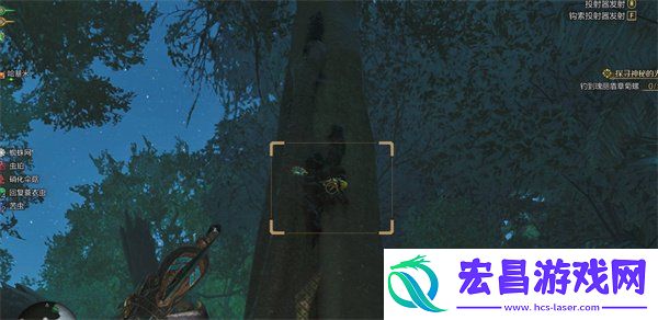 金色独角仙捕捉方法