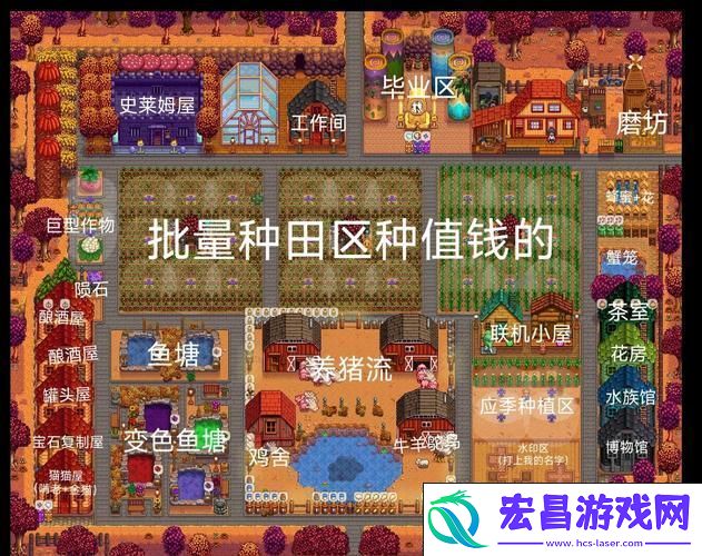 鸡舍移动全攻略-打造你的理想农场
