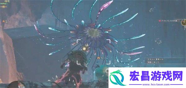 怪物猎人荒野大望花水母在哪