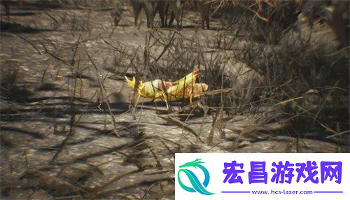 怪物猎人荒野皇帝蚱蜢在哪里