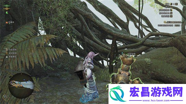 大大的宝物获取方法