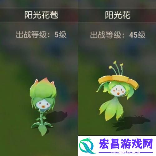 海岛纪元宠物骑乘证获取全攻略