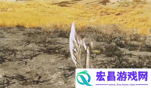 皇帝蚱蜢具体位置