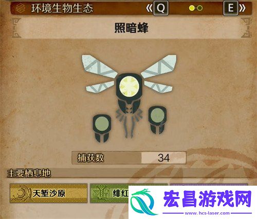 照暗蜂具体位置一览