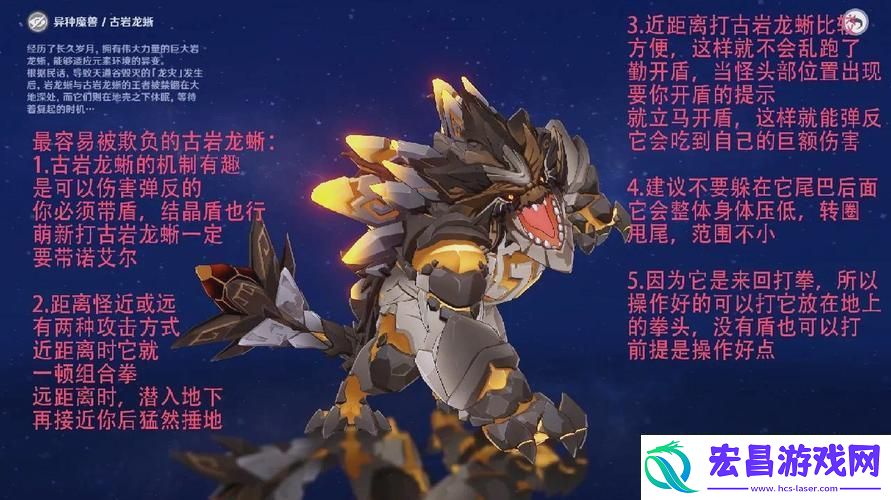 探寻石守蜥蜴的踪迹与拍照秘籍