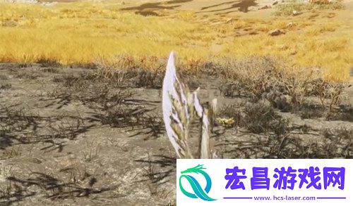 怪物猎人荒野皇帝蚱蜢在哪里