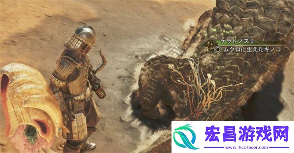 冬龙夏草获取方法
