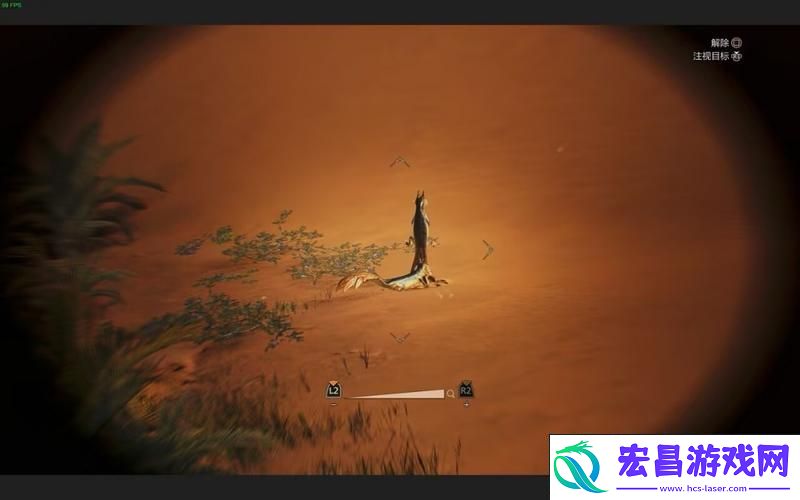 探寻石守蜥蜴的踪迹与拍照秘籍