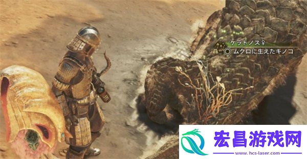 怪物猎人荒野冬龙夏草怎么获得