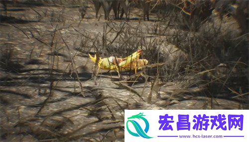 皇帝蚱蜢具体位置