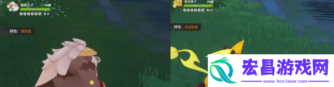 荣耀满满