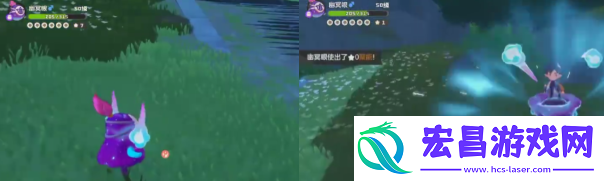 荣耀满满
