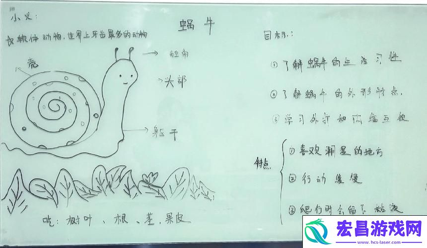 最强蜗牛与乌鸦30次灵魂碰撞全解析