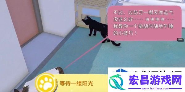 小猫咪大城市