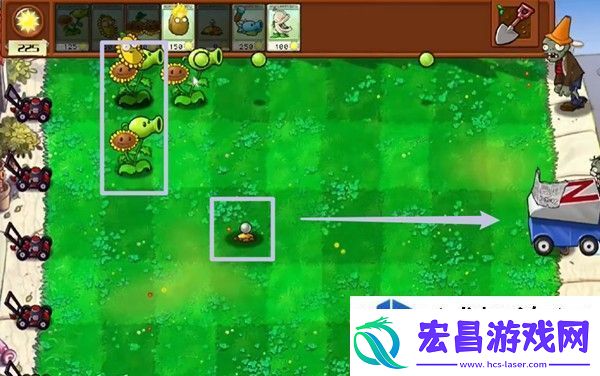 植物大战僵尸杂交版