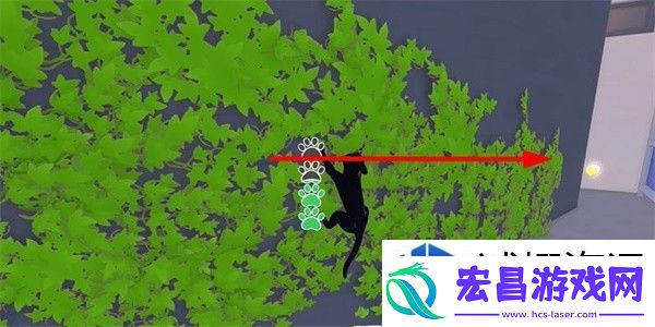 小猫咪大城市老虎帽的获取方式与攻略