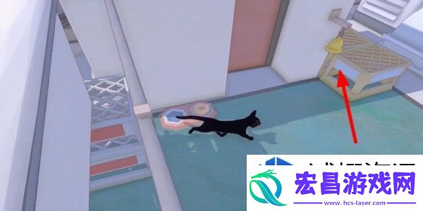 小猫咪大城市
