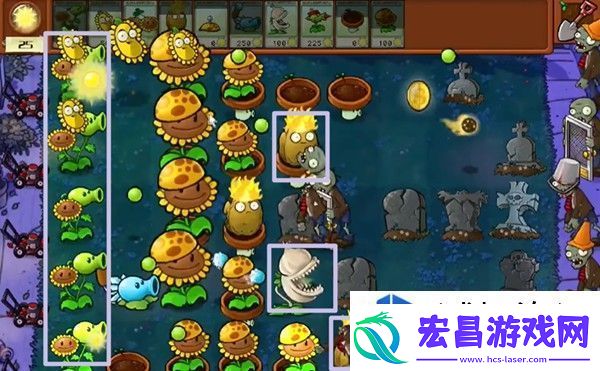 植物大战僵尸杂交版