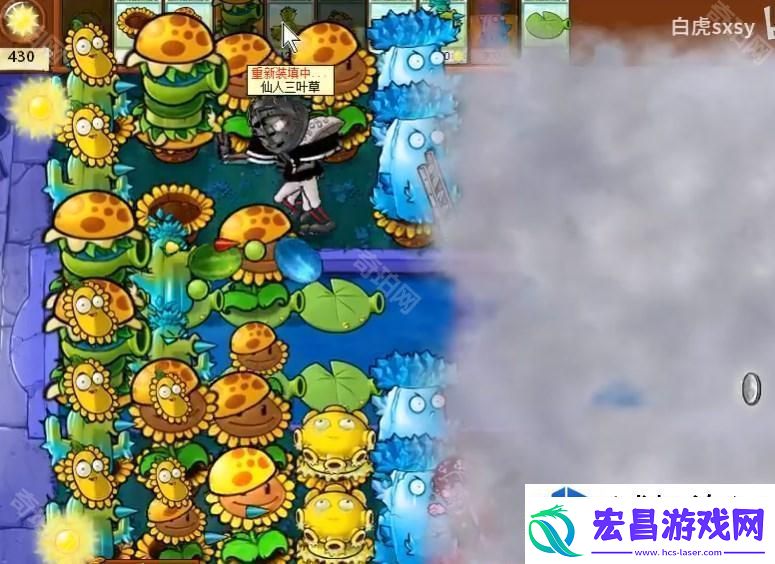 植物大战僵尸杂交版