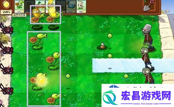 植物大战僵尸杂交版