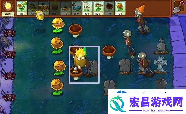 植物大战僵尸杂交版