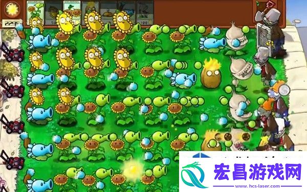 植物大战僵尸杂交版