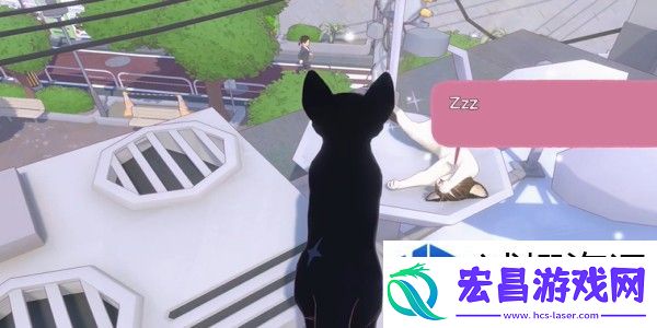 小猫咪大城市
