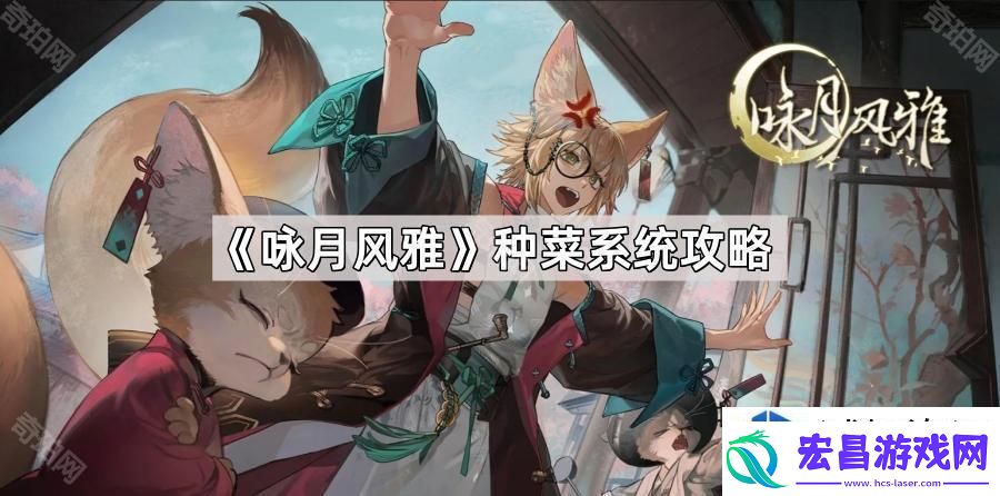 咏月风雅种菜系统解析