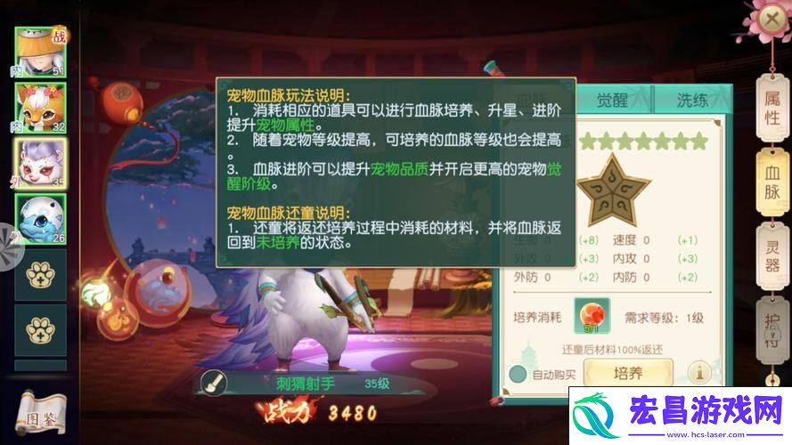 情缘江湖与武学传承的梦幻之旅