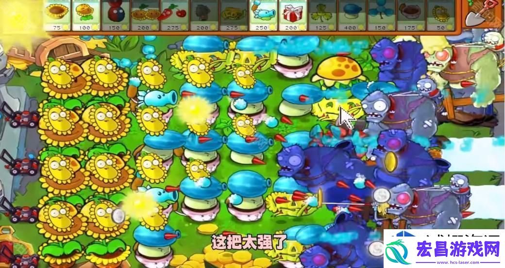 植物大战僵尸杂交版冒险模式第49关通关技巧与策略分析