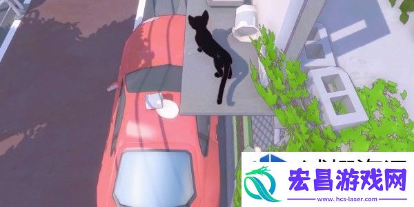 玩法详解与技巧分享
