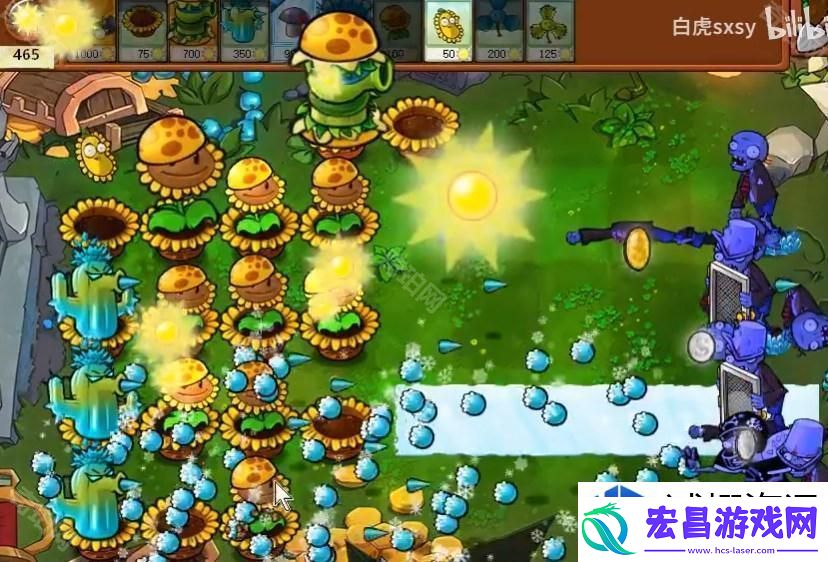 高效策略与植物选择推荐