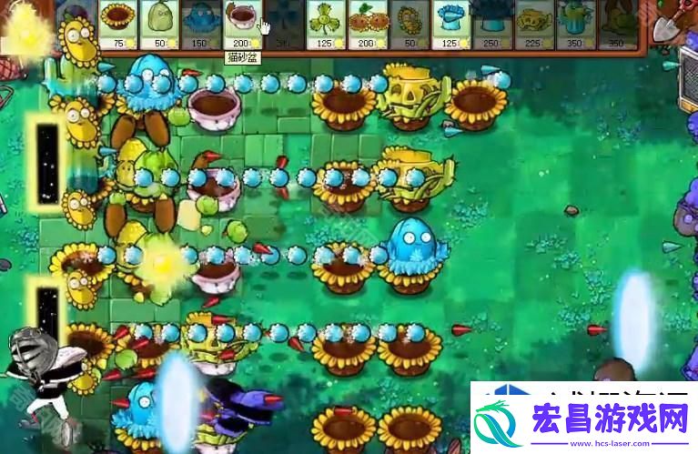 攻略大解析